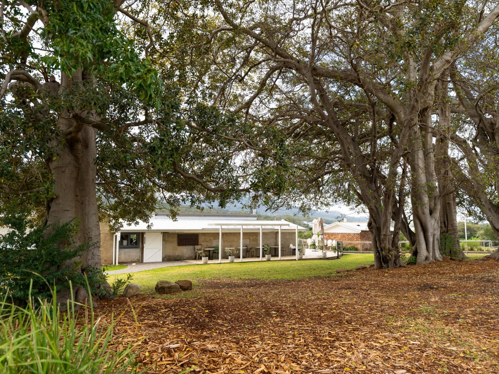 [Land for Sale] Vista Park Estate, Wongawilli OpenLot